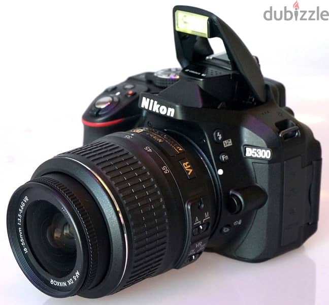 camera D5300 2