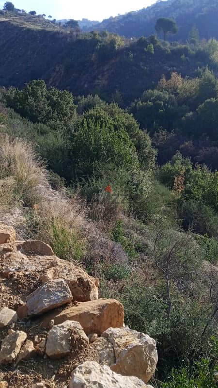 ارض للبيع في الرملية الشوف land for sale in rmlye shouf 1