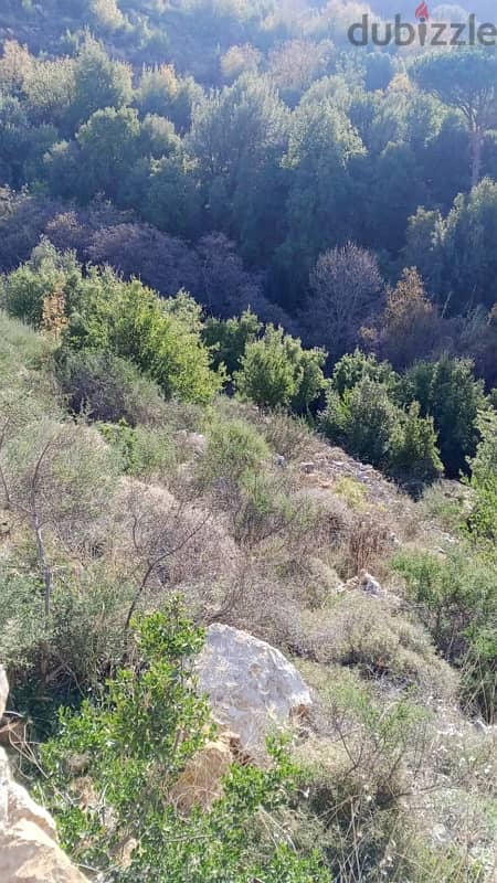 ارض للبيع في الرملية الشوف land for sale in rmlye shouf 3