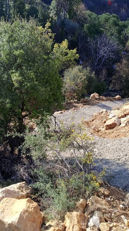 ارض للبيع في الرملية الشوف land for sale in rmlye shouf 7