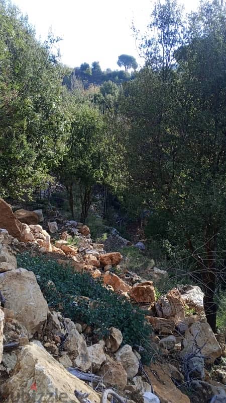 ارض للبيع في الرملية الشوف land for sale in rmlye shouf 8