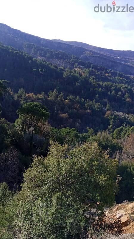 ارض للبيع في الرملية الشوف land for sale in rmlye shouf 9