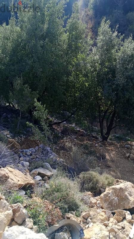 ارض للبيع في الرملية الشوف land for sale in rmlye shouf 10