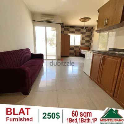 60 sqm fully furnished studio for rent in Blat!!