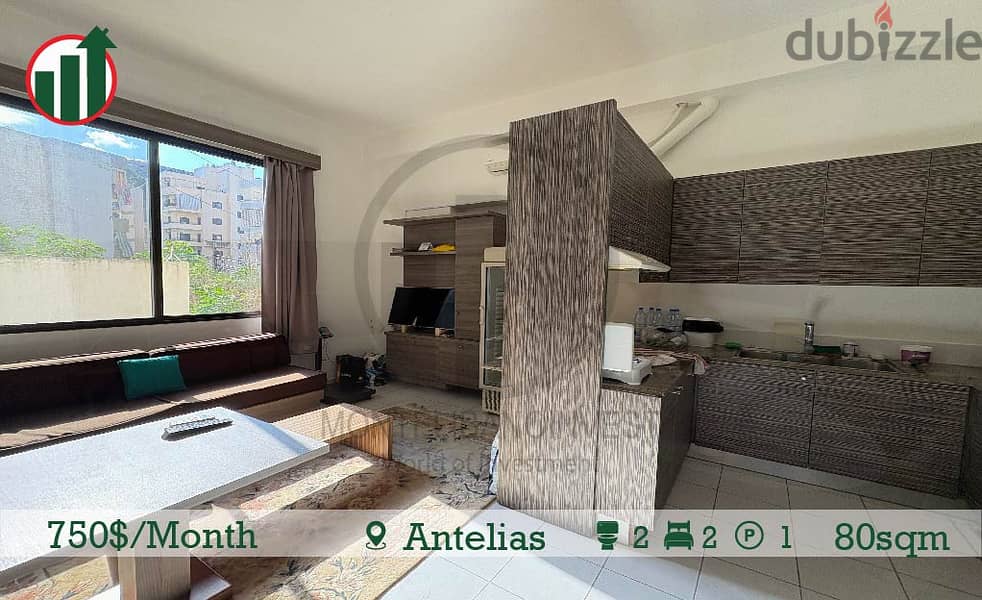 Fully Furnished Apartment for Rent in Antelias !! 0