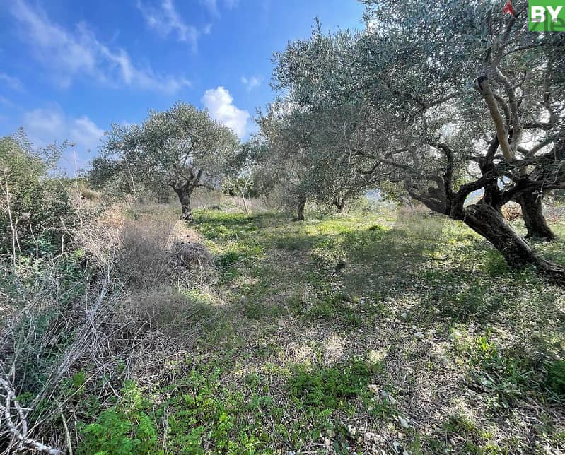 Prime location, batroun, edde/ده البترون REF#BY116816 0