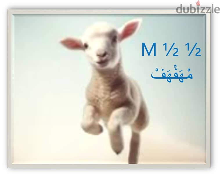 M 1/2 1/2 مهفهف Cleaning services for apartments, offices 0