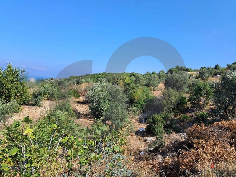 dream villa- scenic village - Monsef, Jbeil/منصف, جبيل REF#RS113046 1