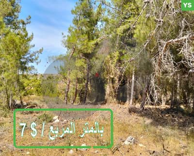 Great deal,mazraat -CHOUF/  مزرعة - الشوف REF#YS116031