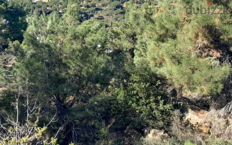 1000 SQM Land in Mar Moussa, Metn overlooking the Mountains