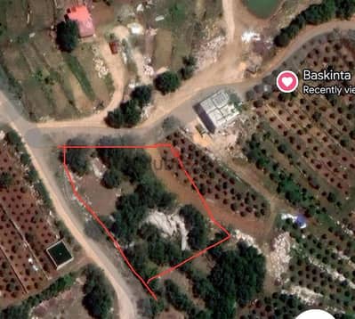 land for sale in baskinta أرض للبيع في بسكنتا