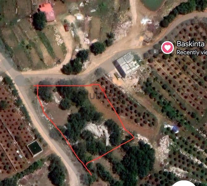 land for sale in baskinta أرض للبيع في بسكنتا 0