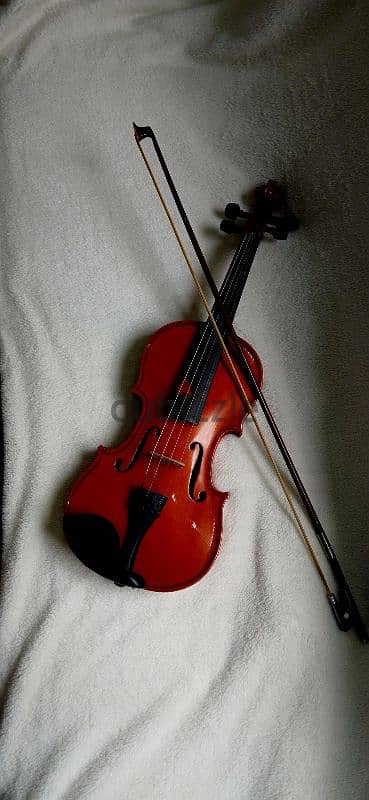 violin