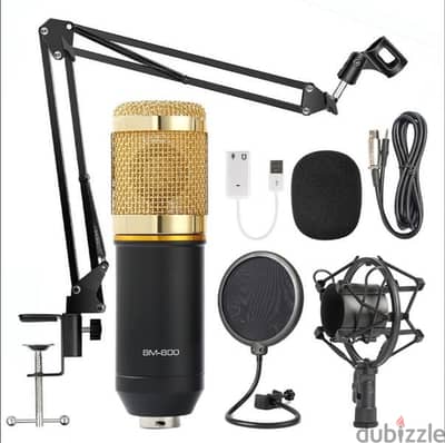 microphone BM 800