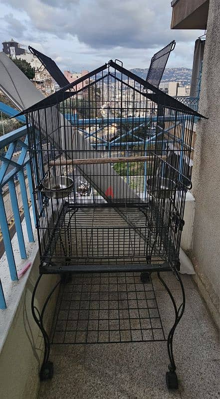 bird cage 2