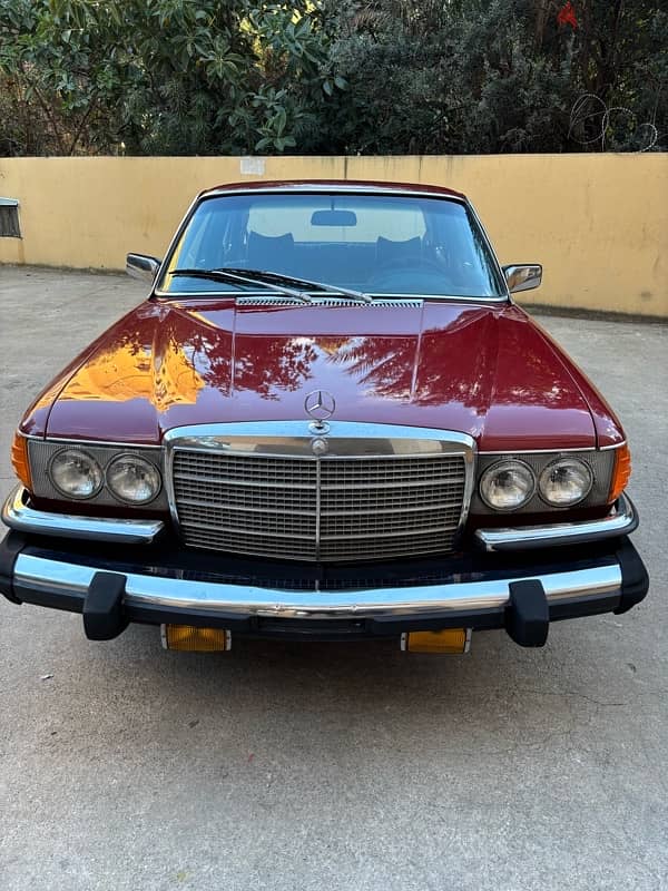 Mercedes-Benz S-Class 1975 0