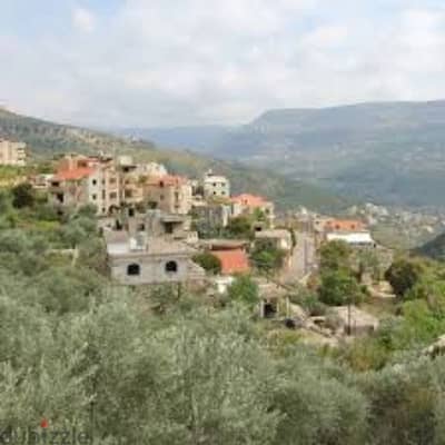 Land 1,200 SQM in Aley District – Open View