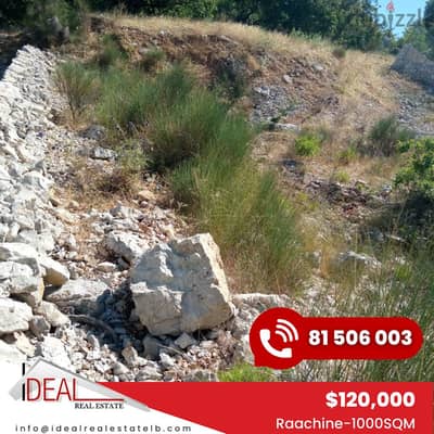 1000 SQM Land for sale in Raachine  REF#CC2099