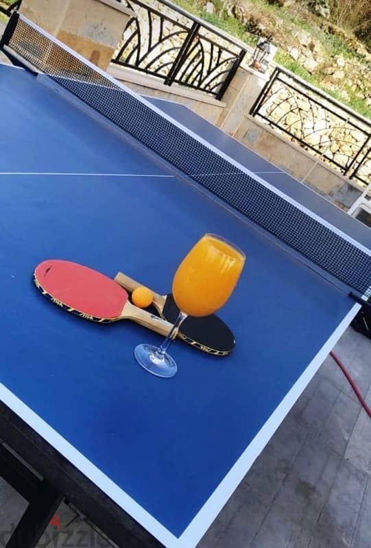 PingPong Table 1