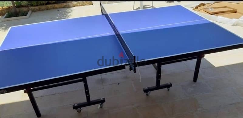 PingPong Table 2