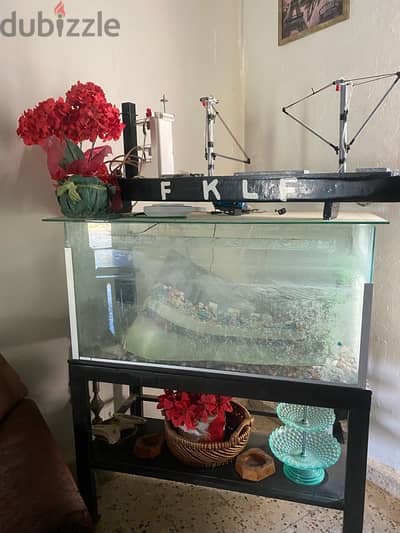 fish aquarium (أكوريوم  سمك زجاج)