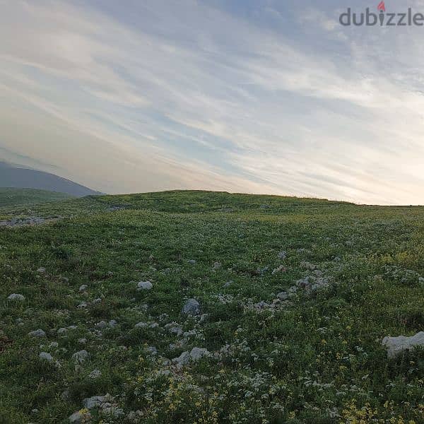 land for sale أرض للبيع 3