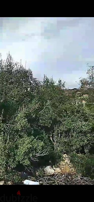 land for sale in atchaneh أرض للبيع في العطشانة 3