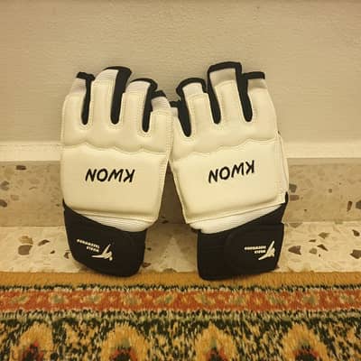 Taekwondo Gloves