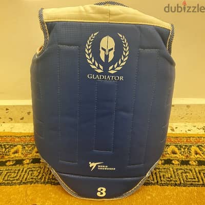 Taekwondo Chest Shield