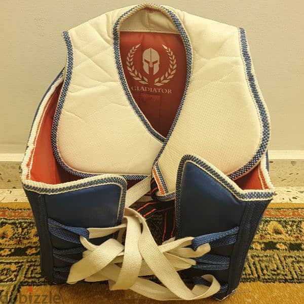 Taekwondo Chest Shield 1