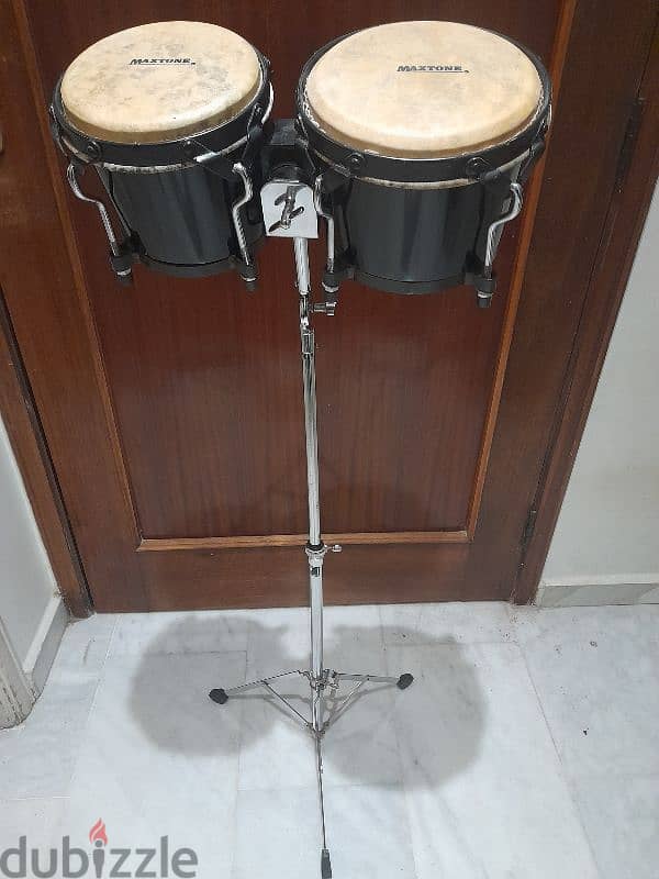 Maxton bongos 0