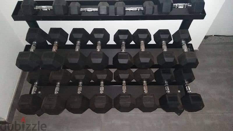 370 kg Complet Hex Dumbbell set with rack 1