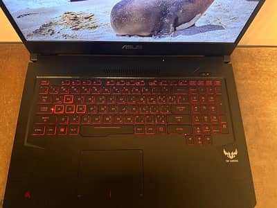 Asus Tuf gaming - Model FX705DY