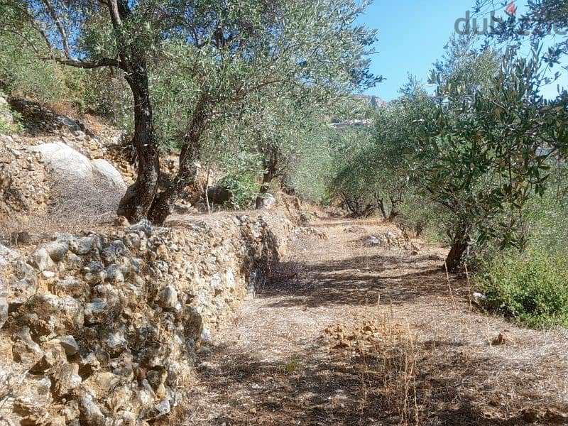 land for sale in btater aalay أرض للبيع في بتاتر عاليه 5