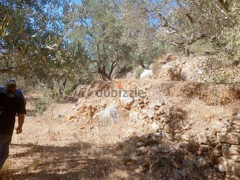 land for sale in btater aalay أرض للبيع في بتاتر عاليه 6