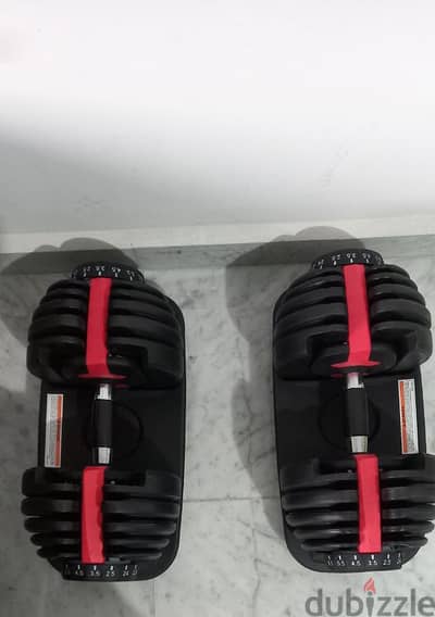 adjustable dumbells