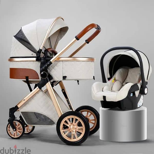 Stroller and Carseat 0