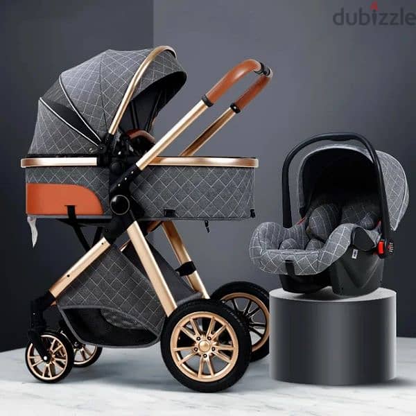 Stroller and Carseat 2