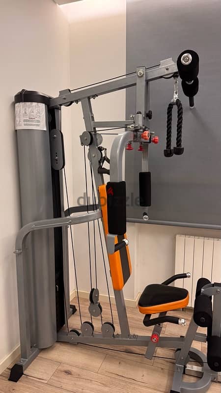 Home GYM in Mint Condition 2