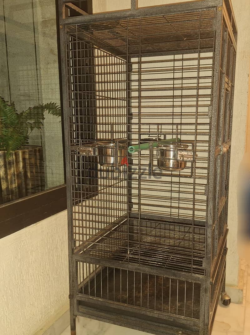 Parrot cage 1