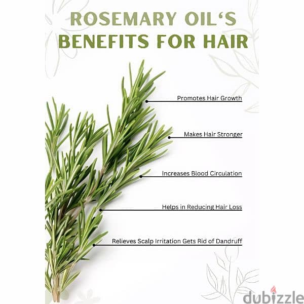 STARPLEX ROSEMARY OIL 1