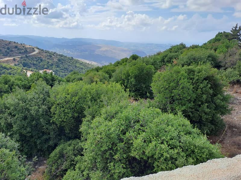 RWB115DL - Land for sale in Derbella - Chnata Batroun 1