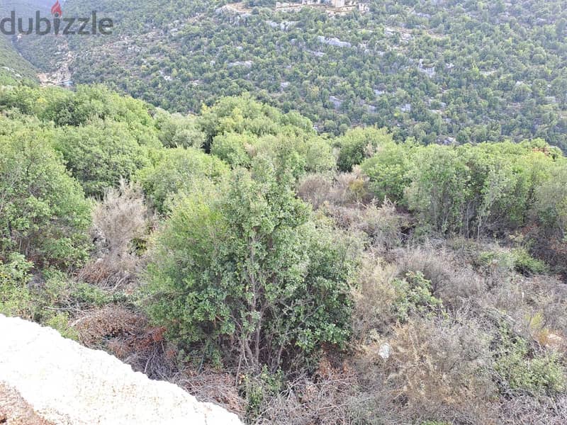 RWB115DL - Land for sale in Derbella - Chnata Batroun 2