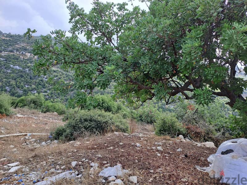 RWB115DL - Land for sale in Derbella - Chnata Batroun 4