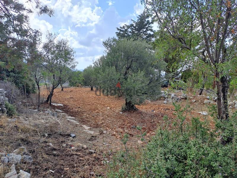 RWB115DL - Land for sale in Derbella - Chnata Batroun 5