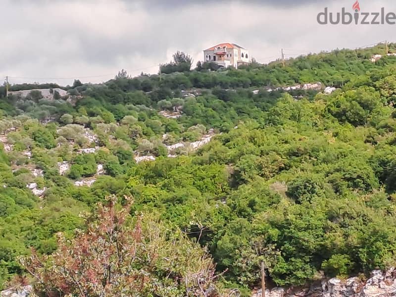 RWB115DL - Land for sale in Derbella - Chnata Batroun 6