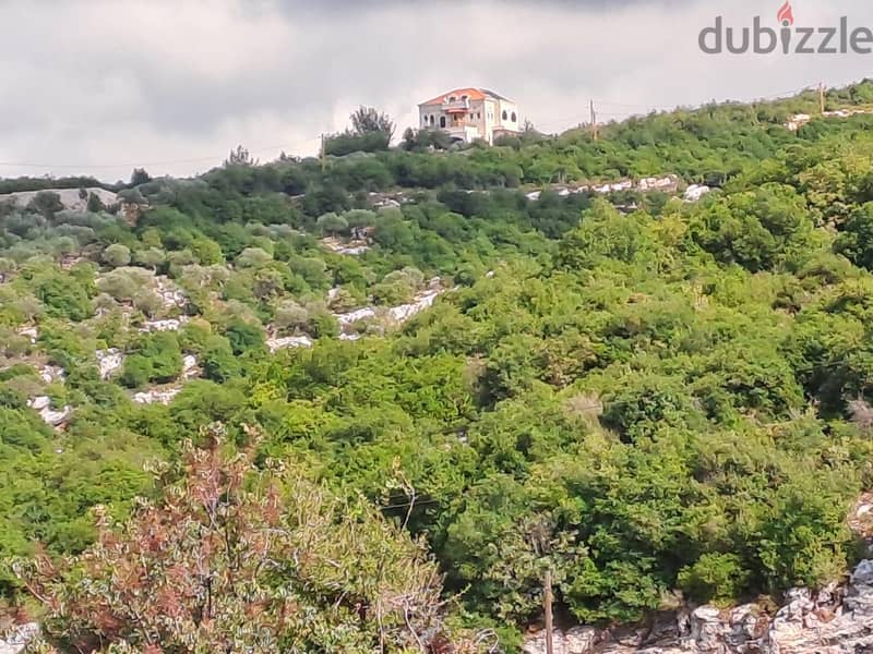 RWB115DL - Land for sale in Derbella - Chnata Batroun 7