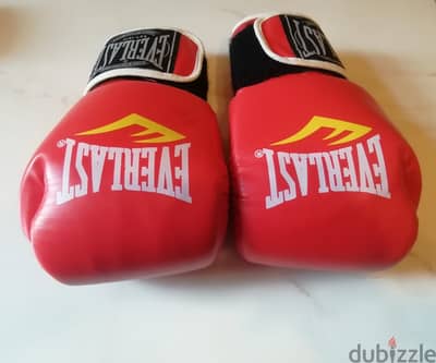 Everlast boxing gloves 10 oz