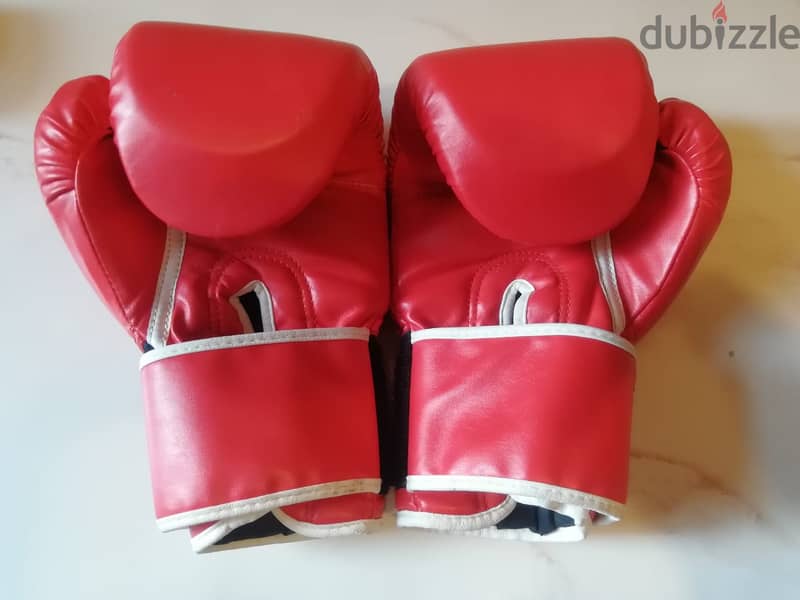 Everlast boxing gloves 10 oz 1