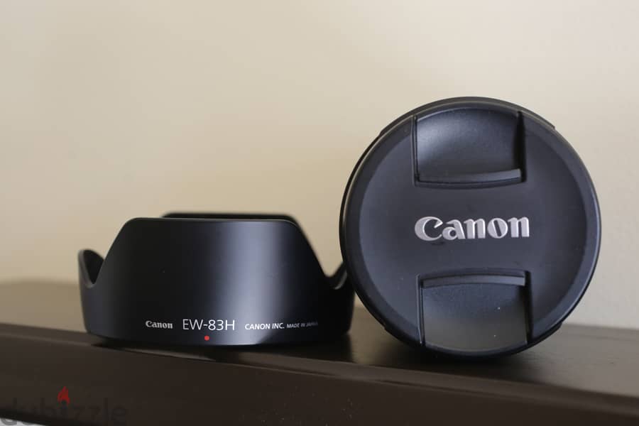 Canon EF 24-105mm f/4L IS USM 4